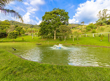 Lago de Pesca