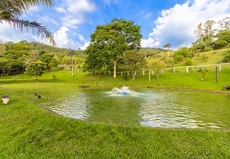 Lago