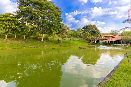 Lago