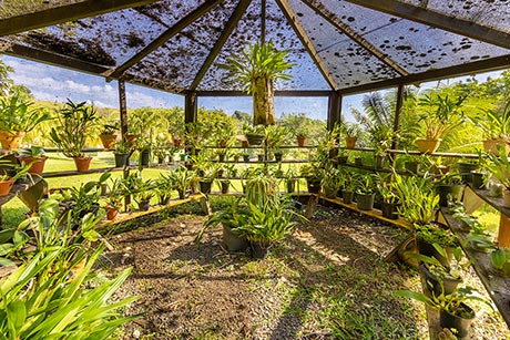 Orquidário